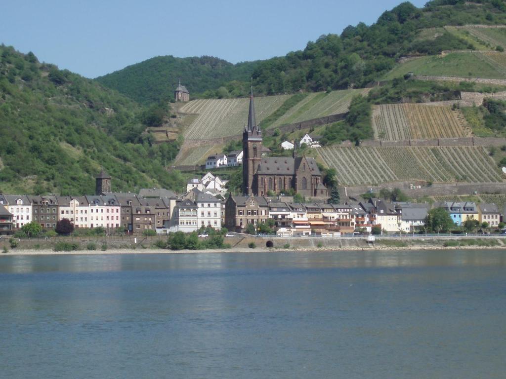 Weingut Theodor Nies Apartment Лорх ам Рейн Екстериор снимка