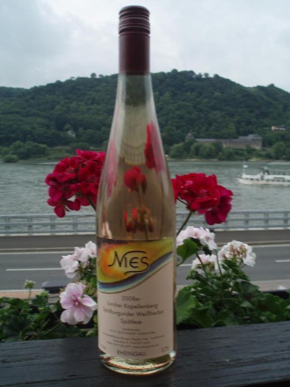 Weingut Theodor Nies Apartment Лорх ам Рейн Екстериор снимка