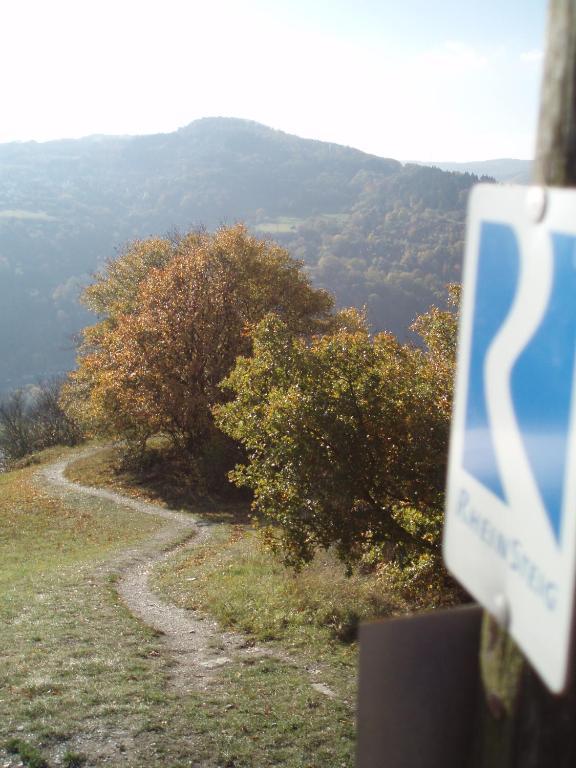 Weingut Theodor Nies Apartment Лорх ам Рейн Екстериор снимка