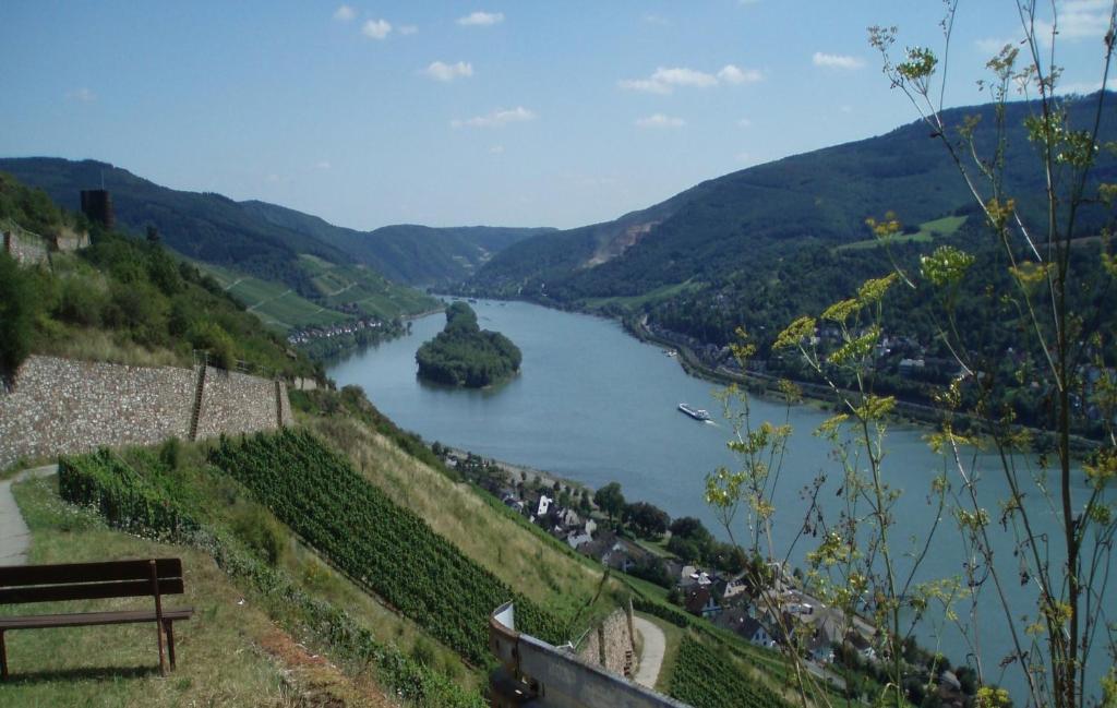 Weingut Theodor Nies Apartment Лорх ам Рейн Екстериор снимка