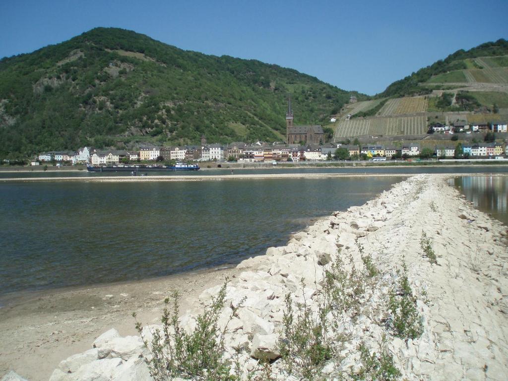 Weingut Theodor Nies Apartment Лорх ам Рейн Екстериор снимка